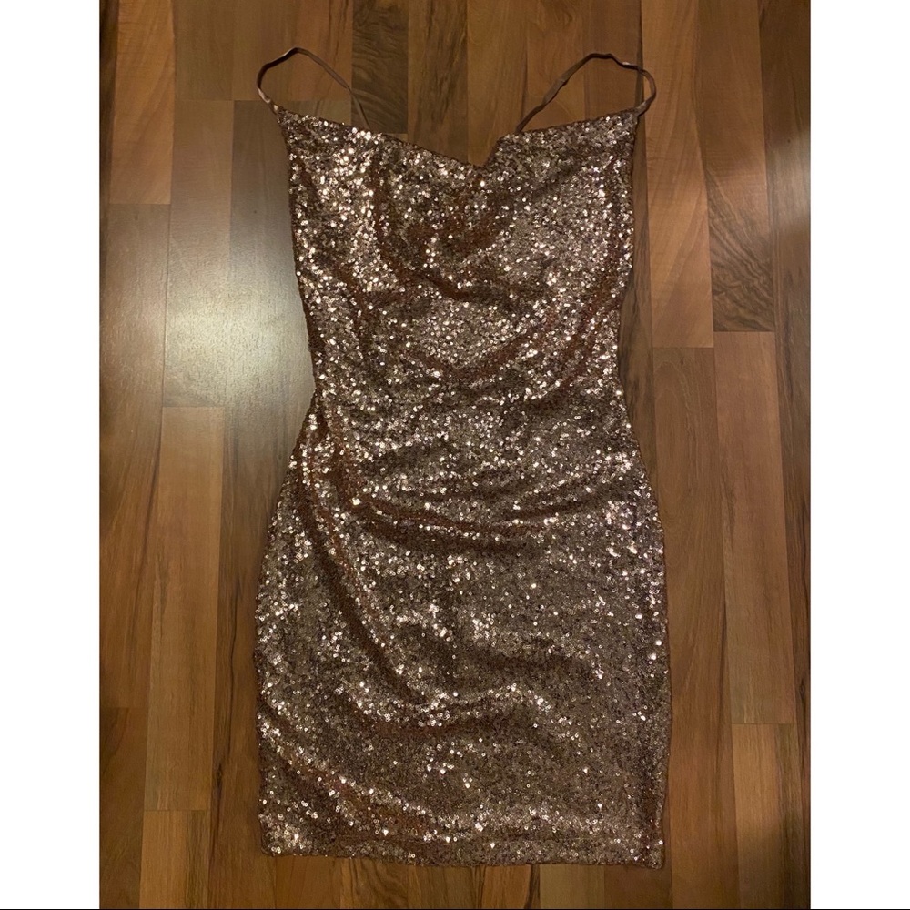 NWT Nude Pink Sequin Dress